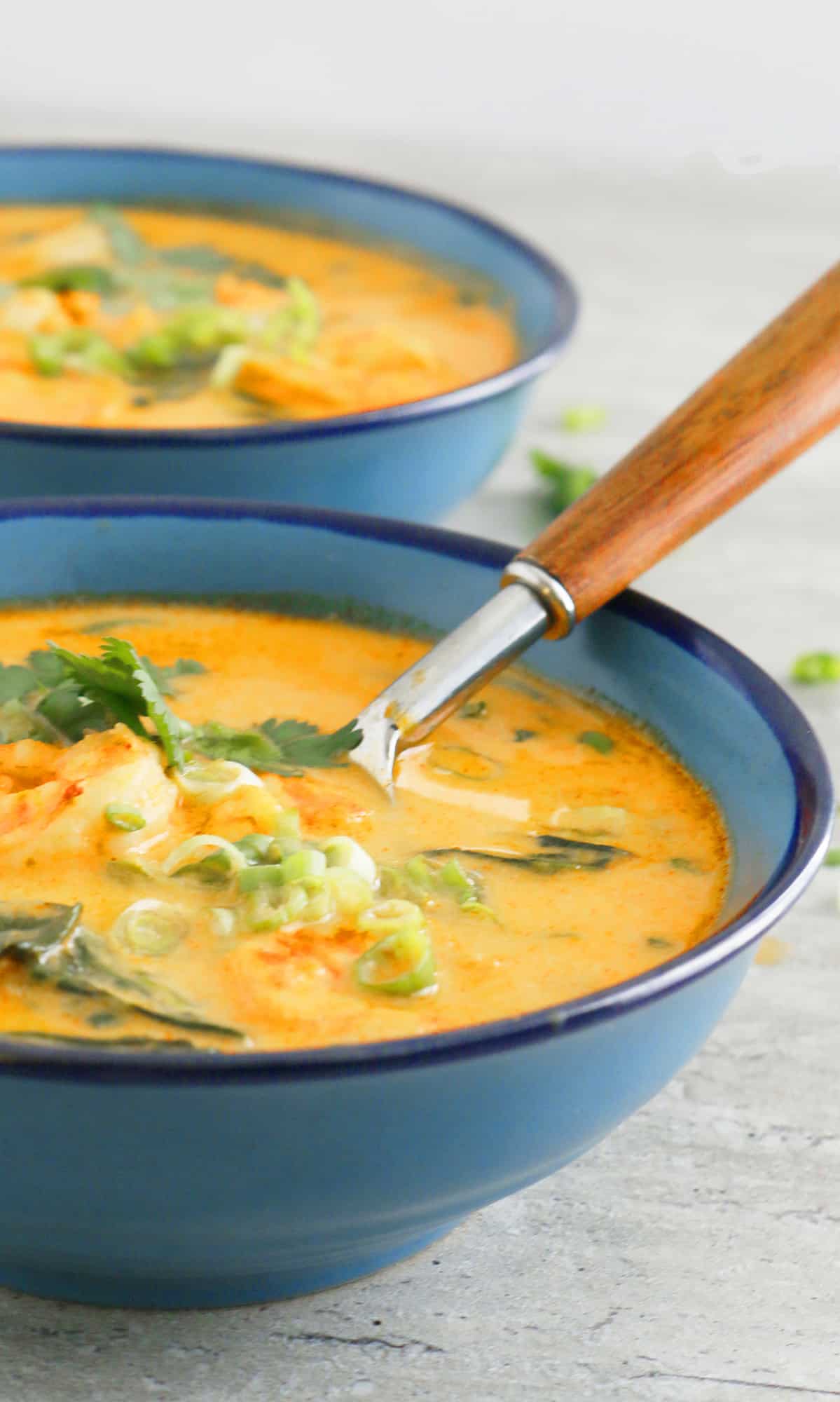 instant pot thai curry soup