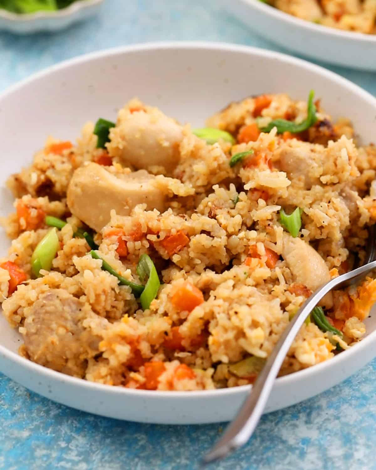 pressure cooked chicken fried rice in a white plate.