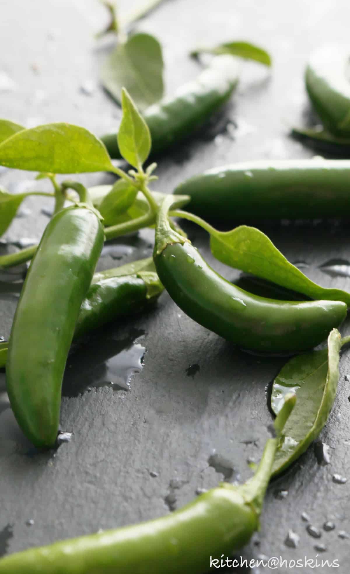 Avocado Jalapeno Crema KITCHEN HOSKINS