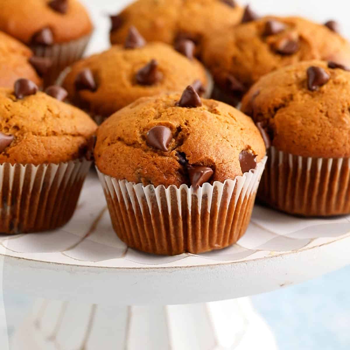 Pumpkin Chocolate Chip Muffins-image