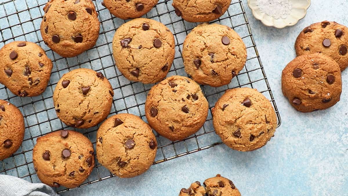 12 almond flour chocolate chip cookies placed on a wire rack.