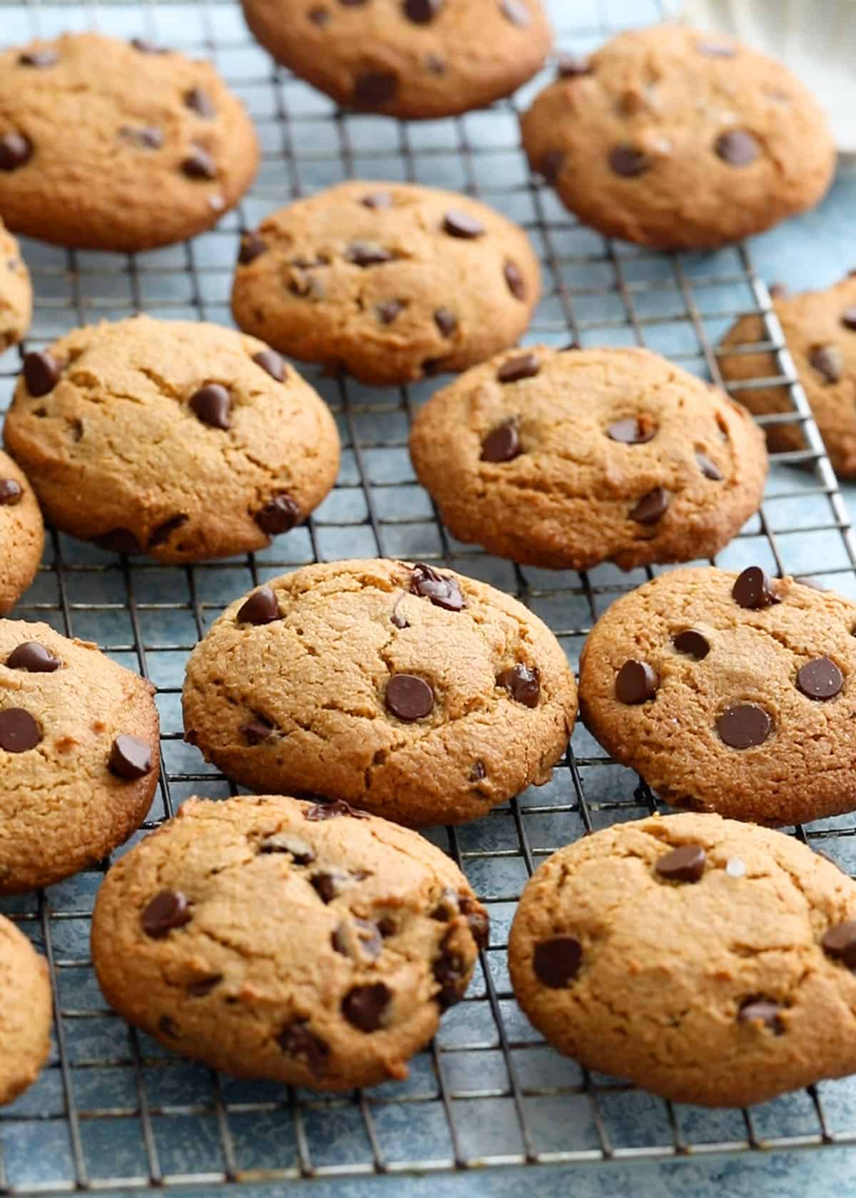 12 almond flour chocolate chip cookies placed on a wire rack.