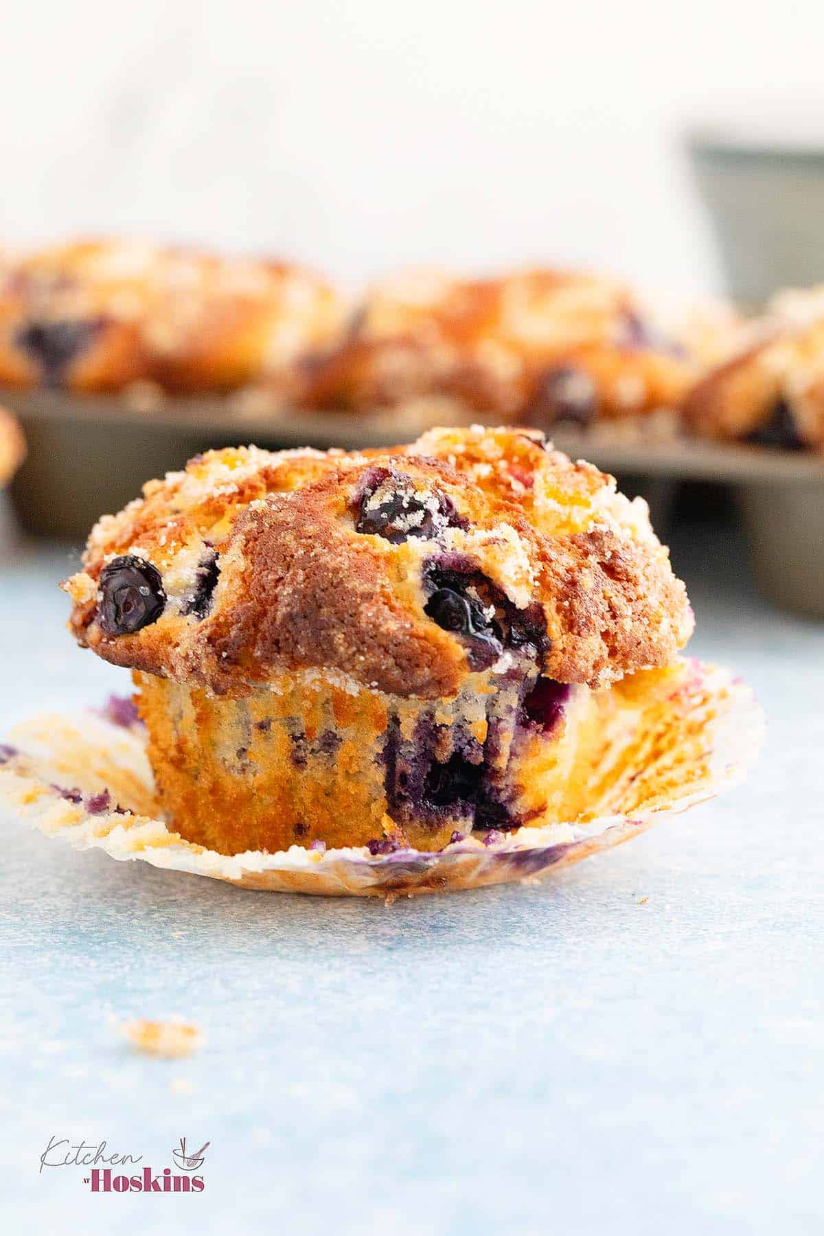 one blueberry muffin with the wrapped peeled down. 