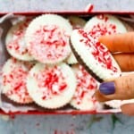a hand holding one round chocolate peppermint bark.