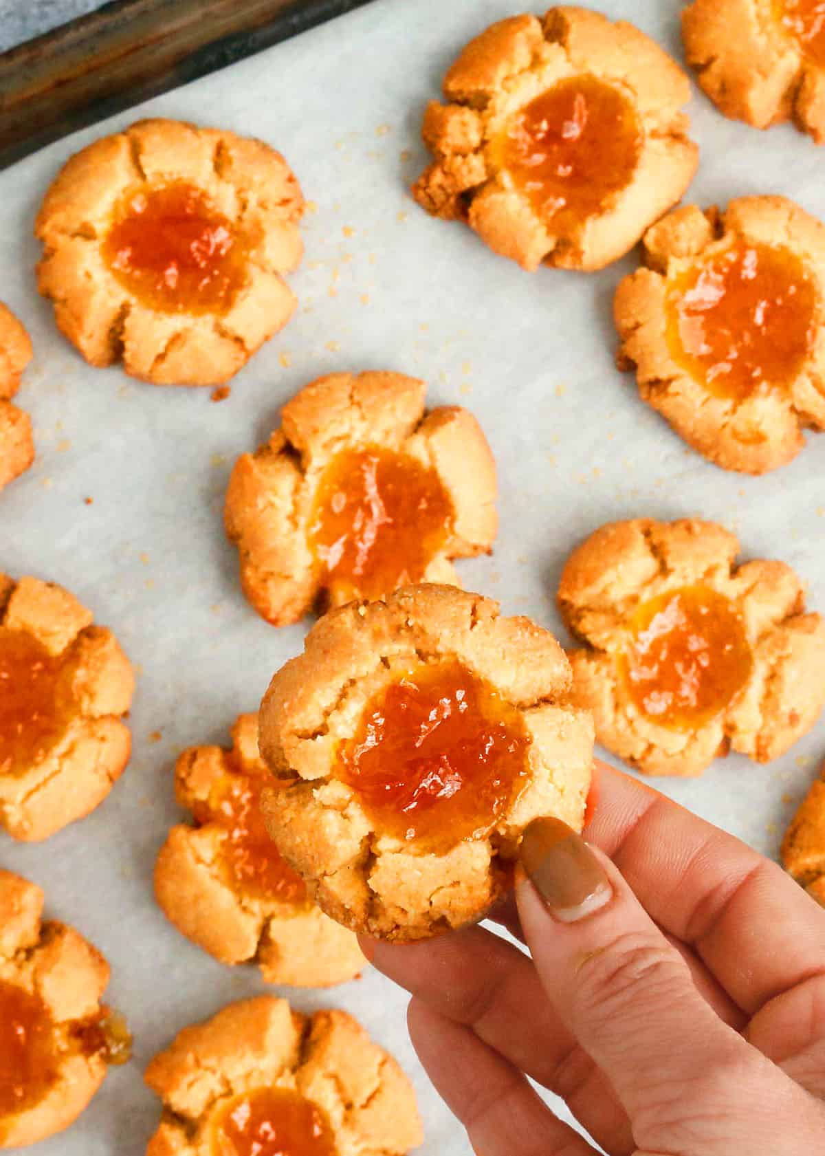 a hand holding one orange thumbprint cookie.