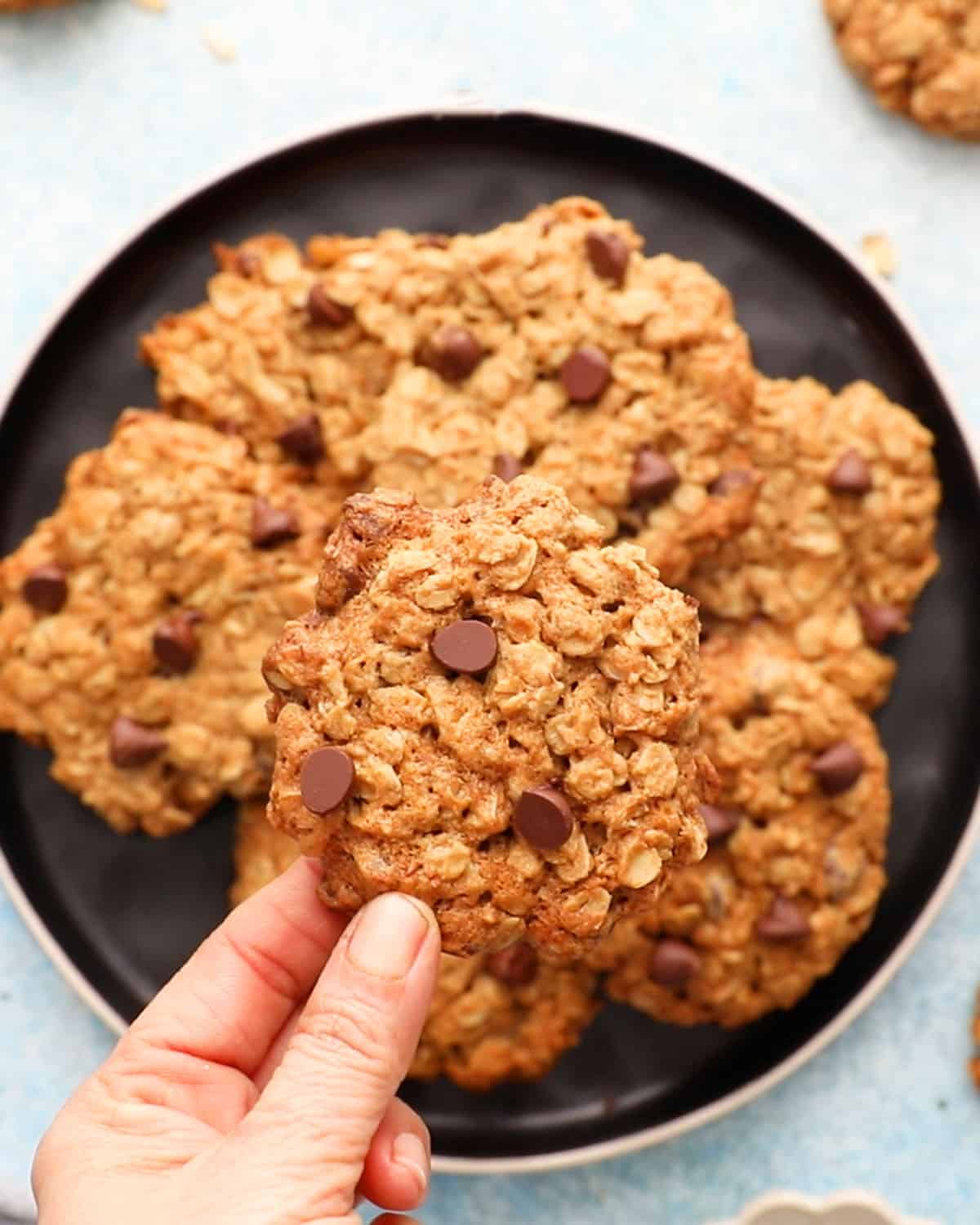 a hand holding one chocolate chip oatmeal cookie.