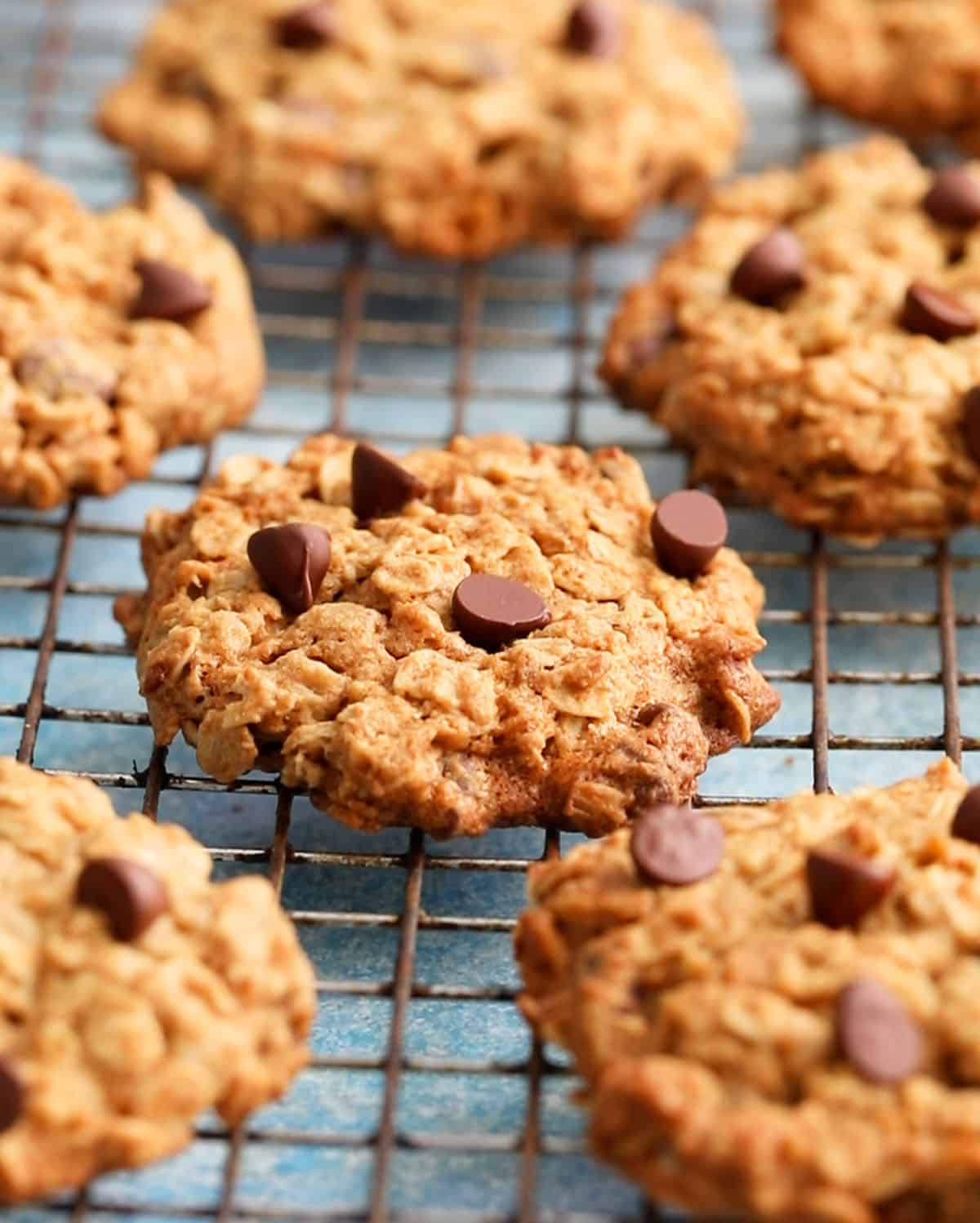 oatmeal chocolate chip cookies on a wire rack.