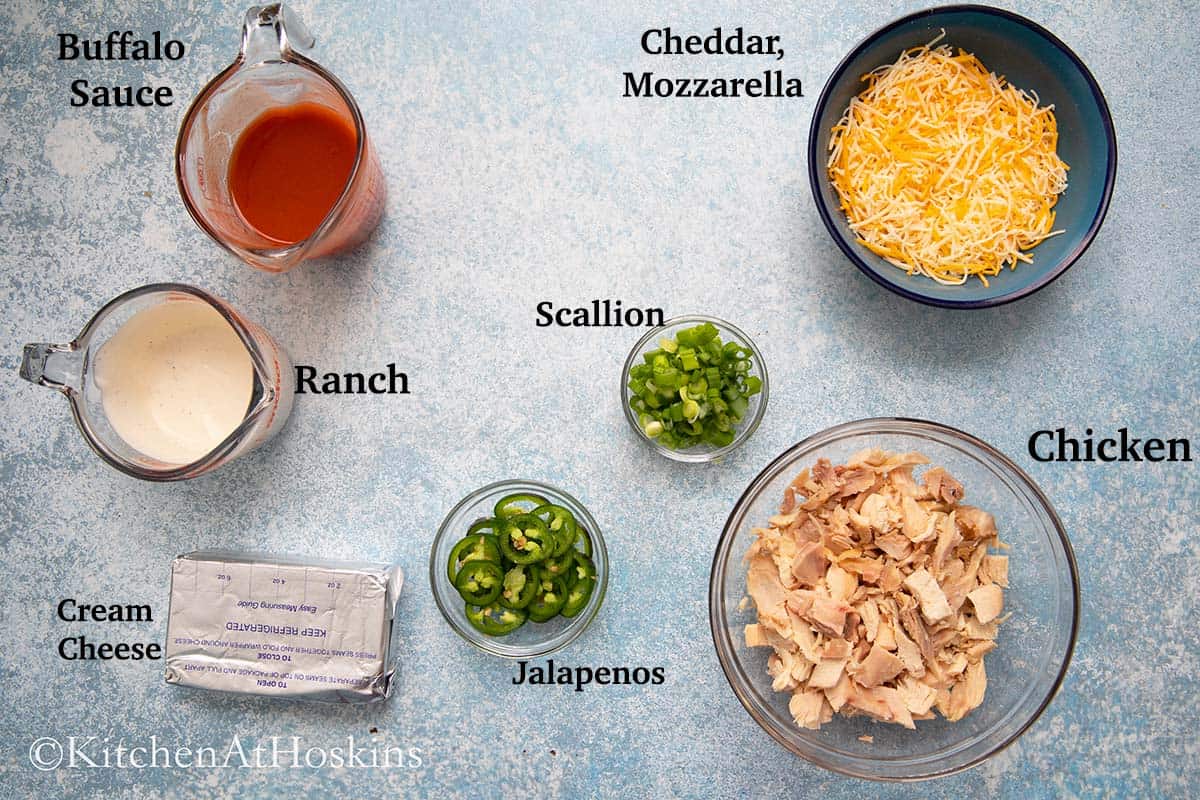 ingredients needed to make cheesy chicken dip.