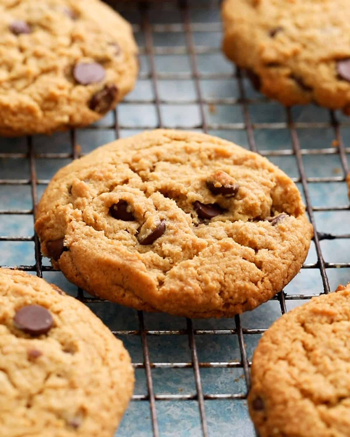 brown peanut butter chocolate chip cookies placed on a wire rack.