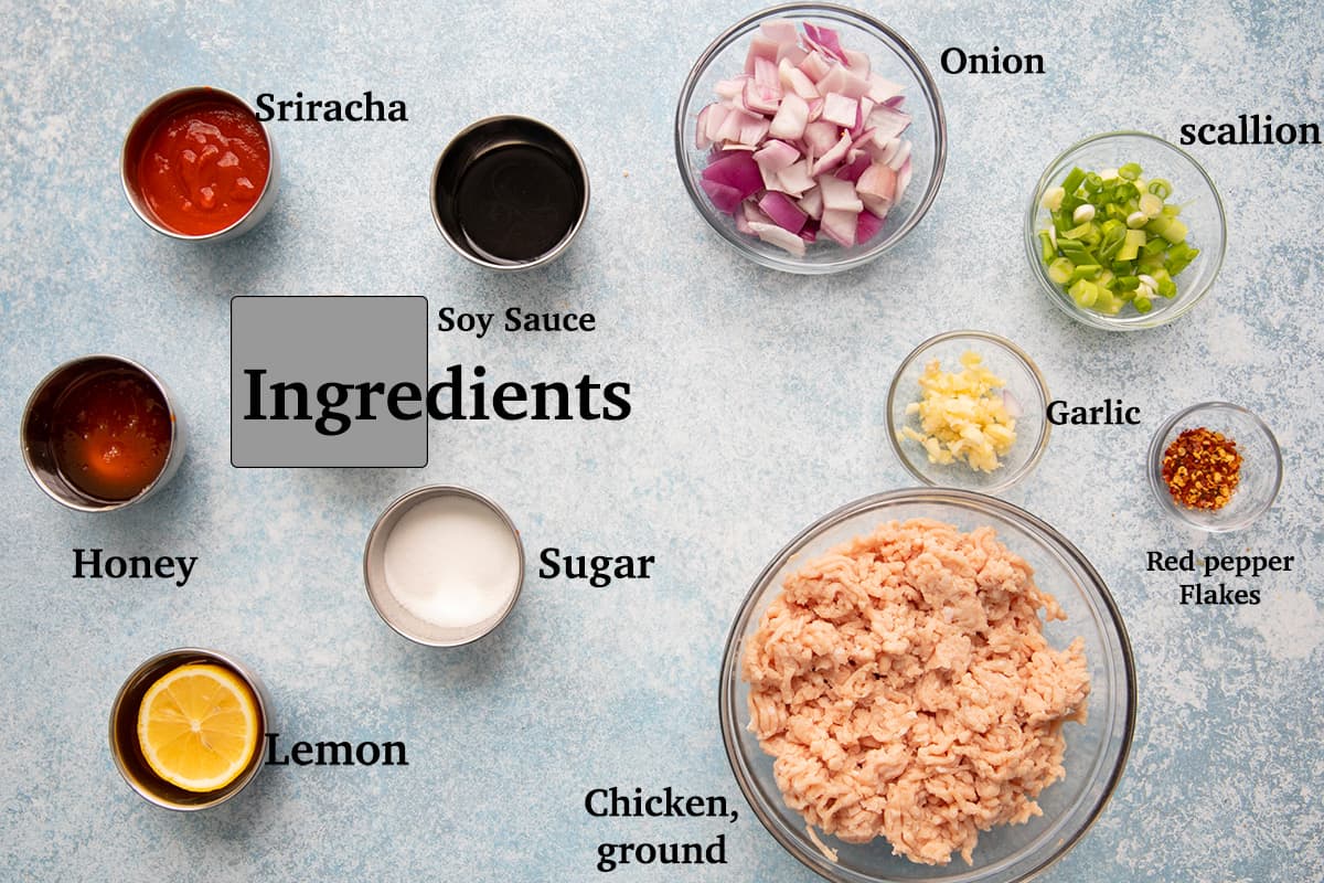 ingredients needed for the recipe. 
