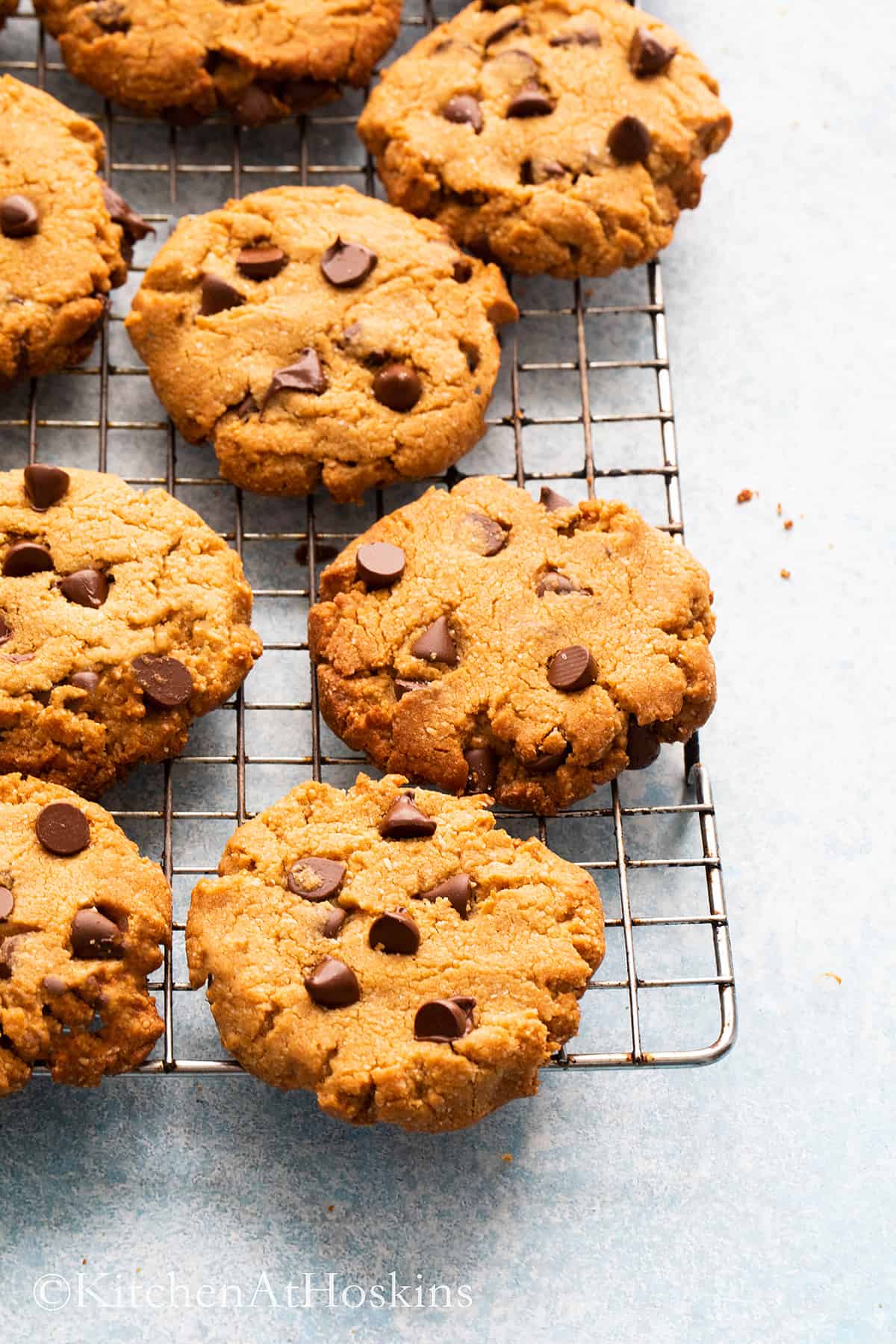peanut butter almond flour cookies with chocolate chips.