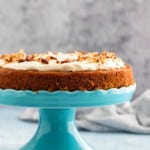 one layer carrot cake on a stand.