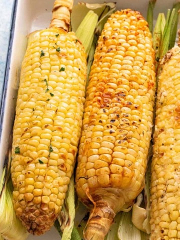 roasted corn on the cob on a white tray.