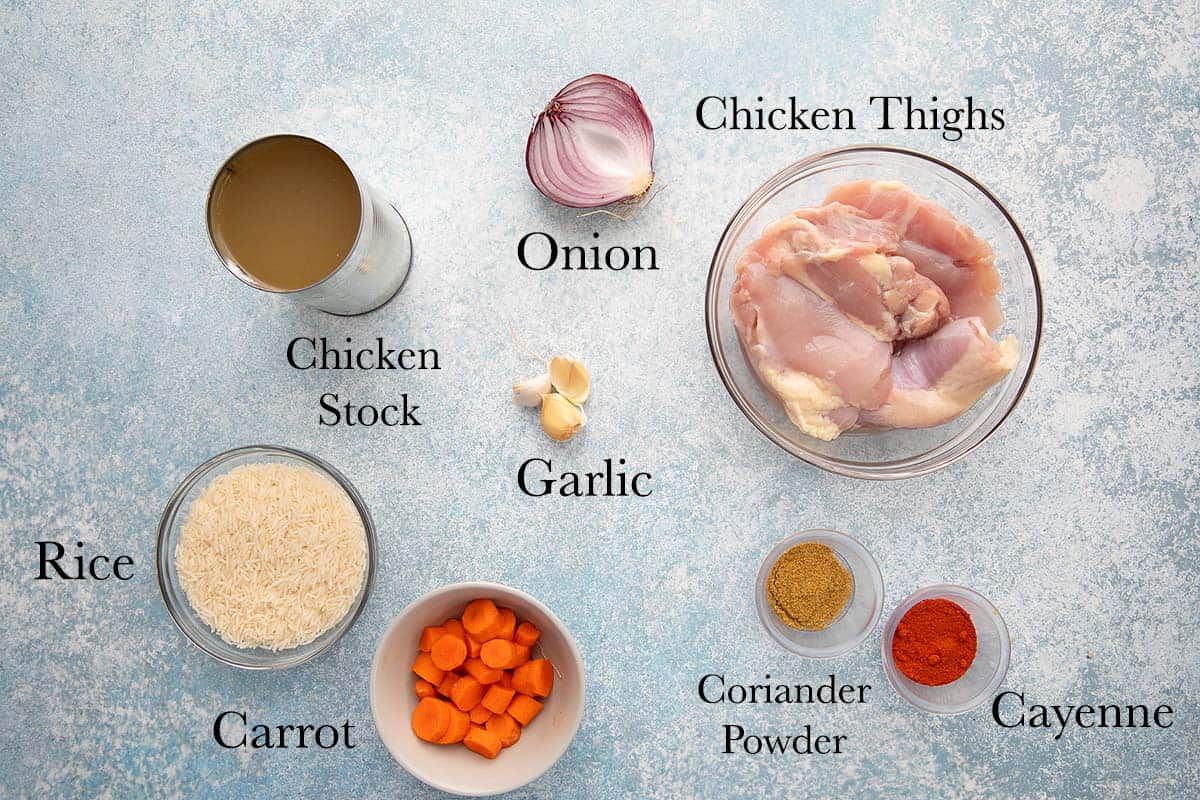 ingredients needed to make chicken rice soup.