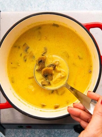 a hand holding one ladle of chicken mushroom soup.