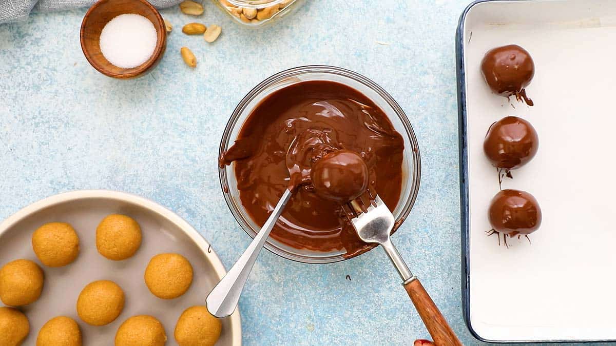 removing chocolate coated buckeye candy from a bowl of melted chocolate using a fork.