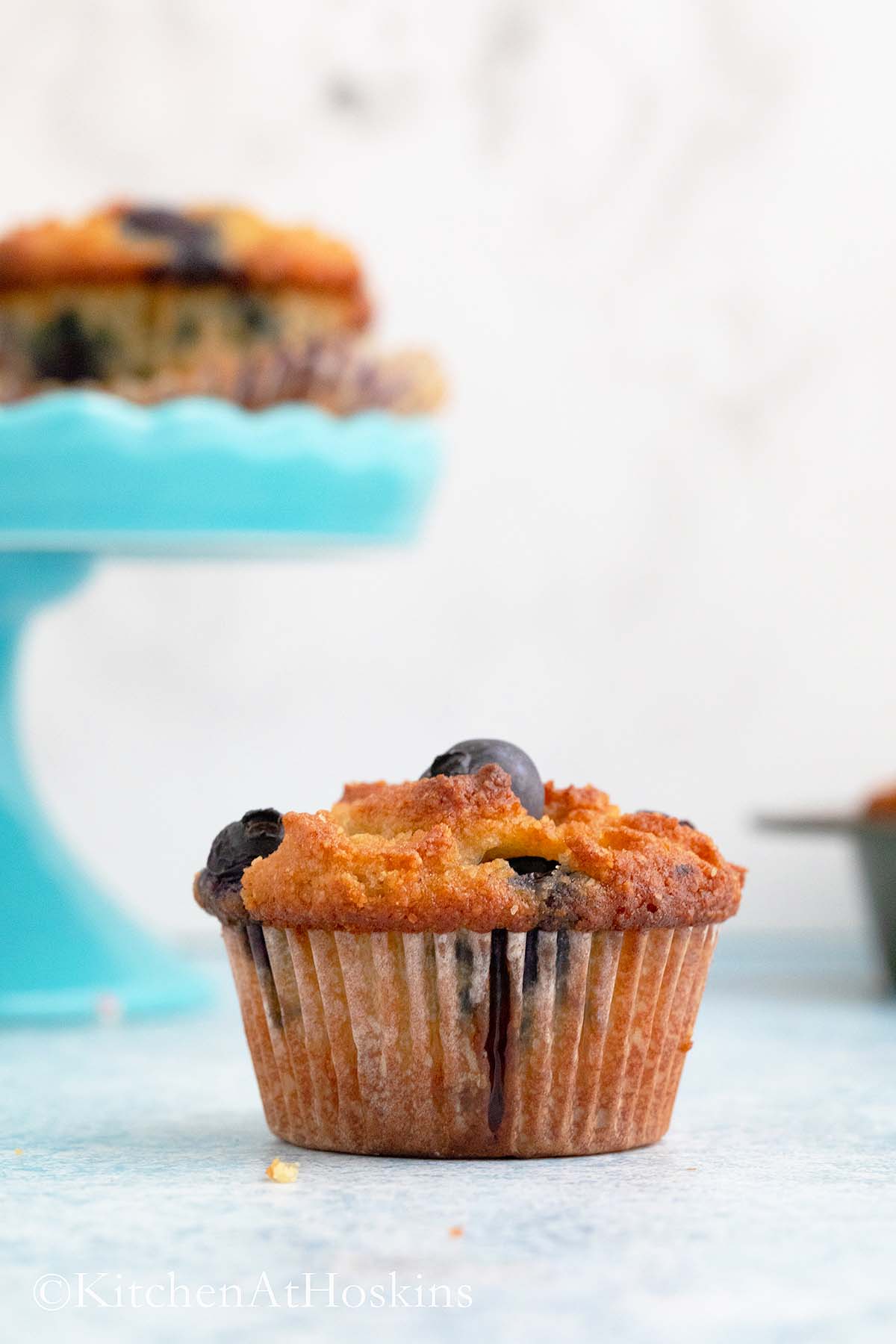 one baked lemon blueberry muffin.