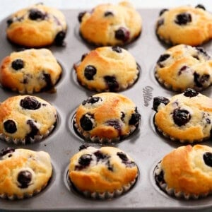 mini blueberry muffins in a metal pan.