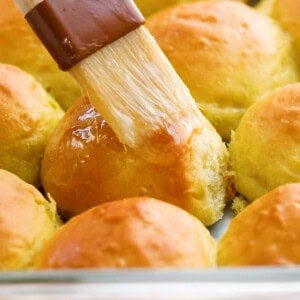 golden avocado dinner rolls.