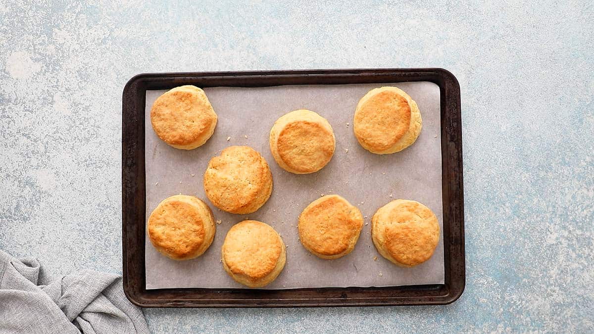 8 baked cream biscuits on a parchment lined baking sheet.