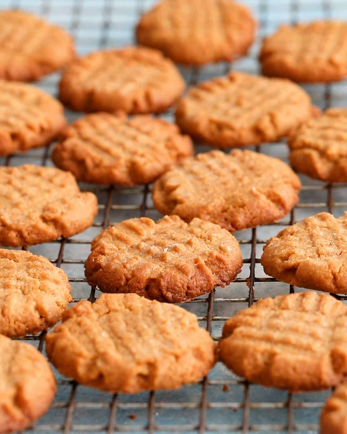 almond butter cookies on a wire rack.