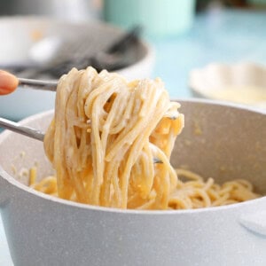 white alfredo pasta in a grey pot.