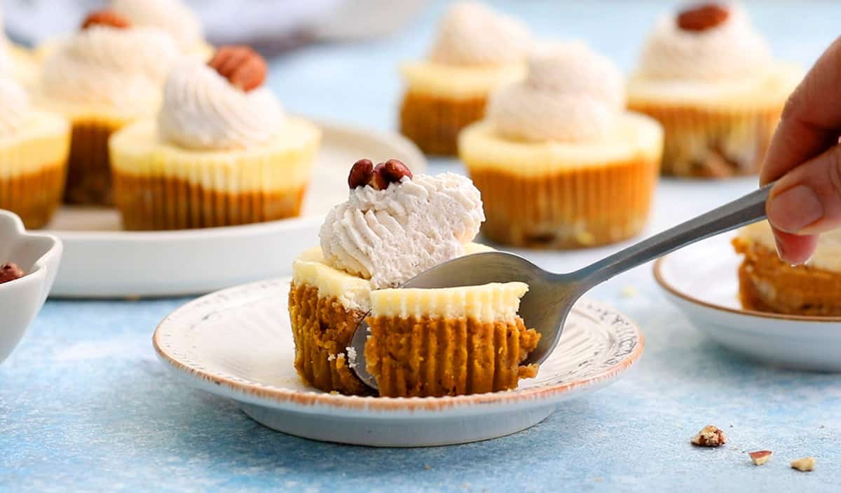 a spoon cutting into a layered brown and white cheesecake.