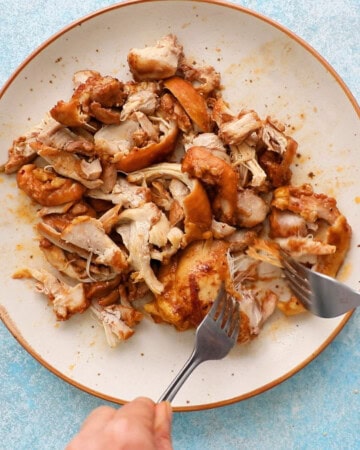 cooked brown chicken in a white plate.