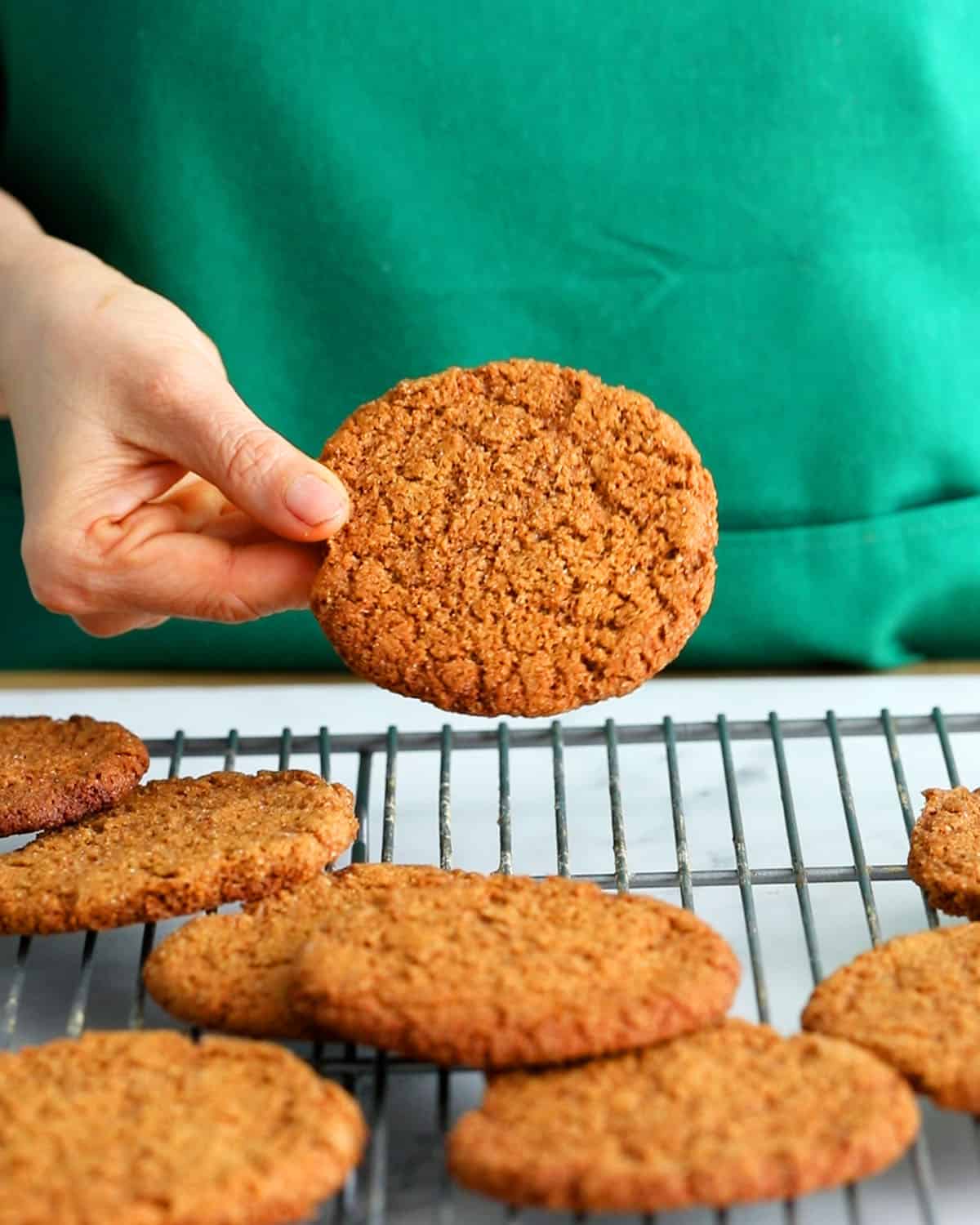 a hand holding one ginger molasses cookie.