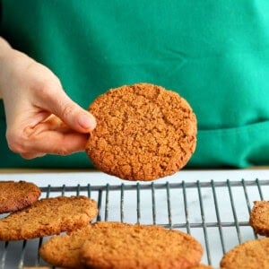 a hand holding one ginger molasses cookie.