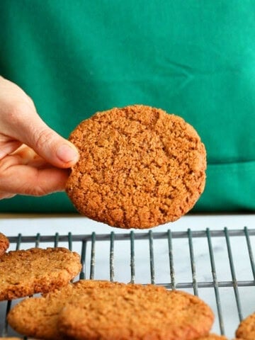 a hand holding one ginger molasses cookie.