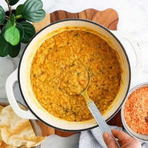 red lentil dal curry in a white pot.