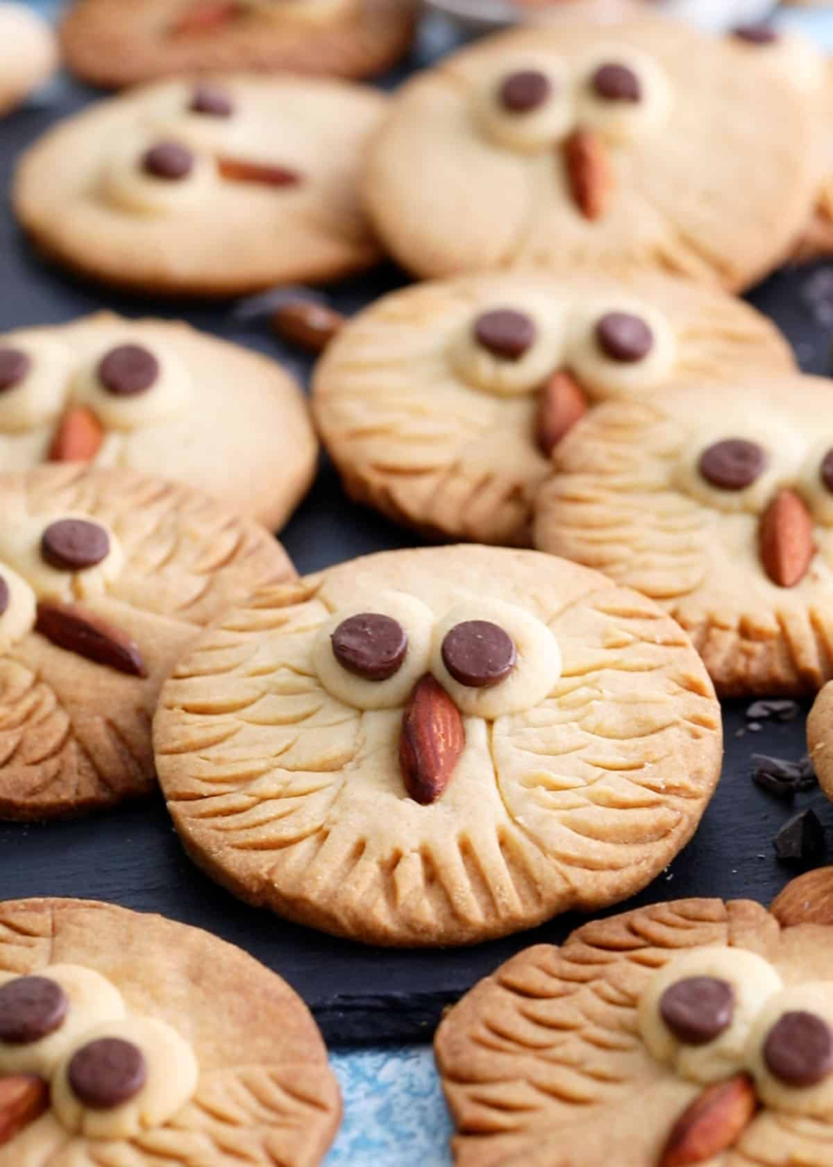 owl cookies in a black board.