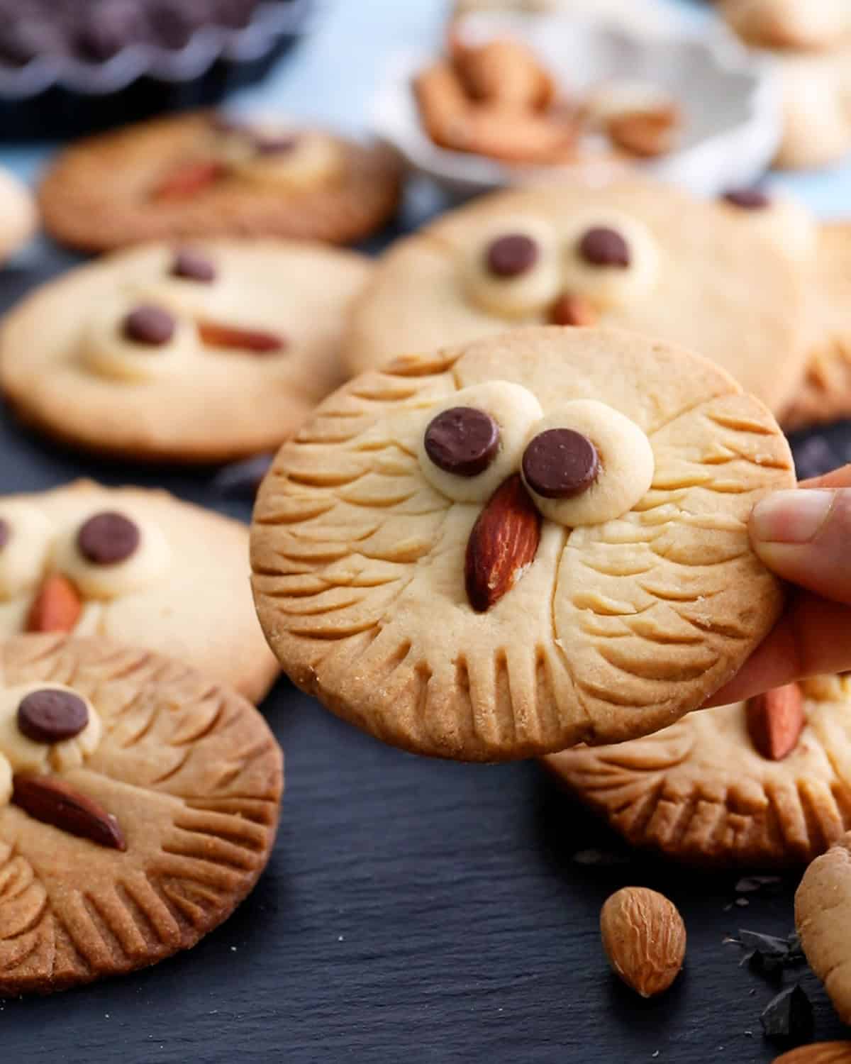 owl cookies in a black board.